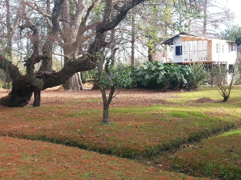 Casa Del Bosque Сasa de vacaciones Tigre